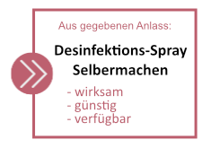 Desinfektions-Spray Selbermachen